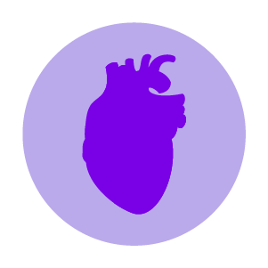 ícone coração roxo